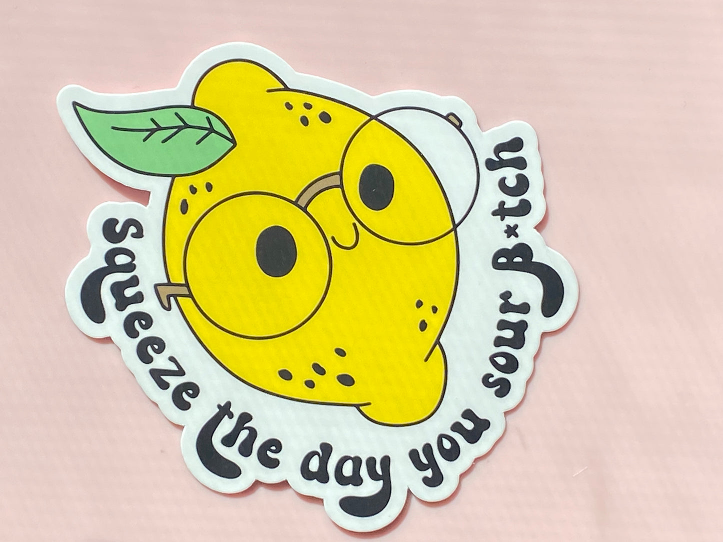 Squeeze the Day Sticker, Funny Sticker, Kindle Sticker, Water Bottle Sticker