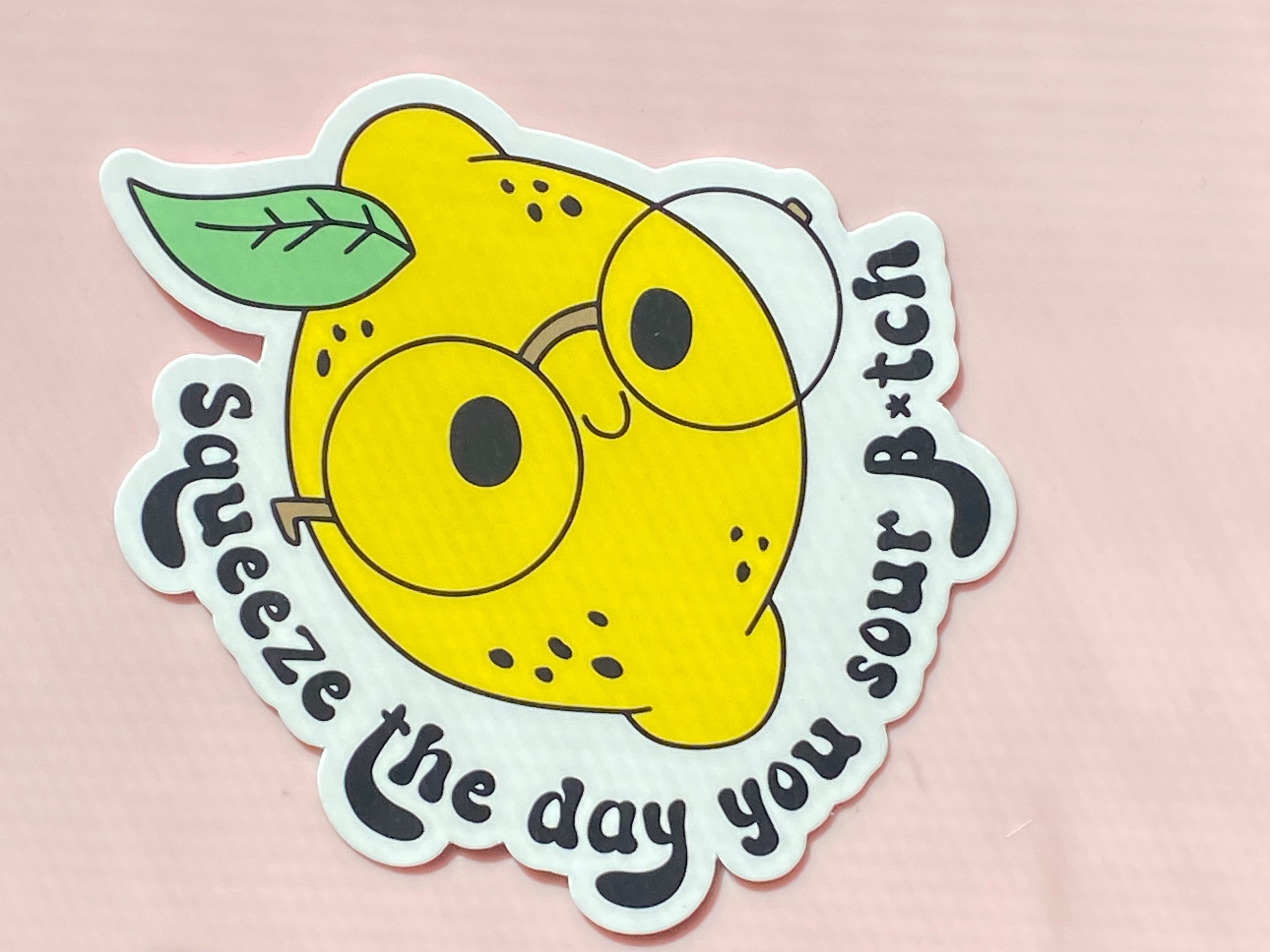 Squeeze the Day Sticker, Funny Sticker,  Kindle Sticker, Water Bottle Sticker