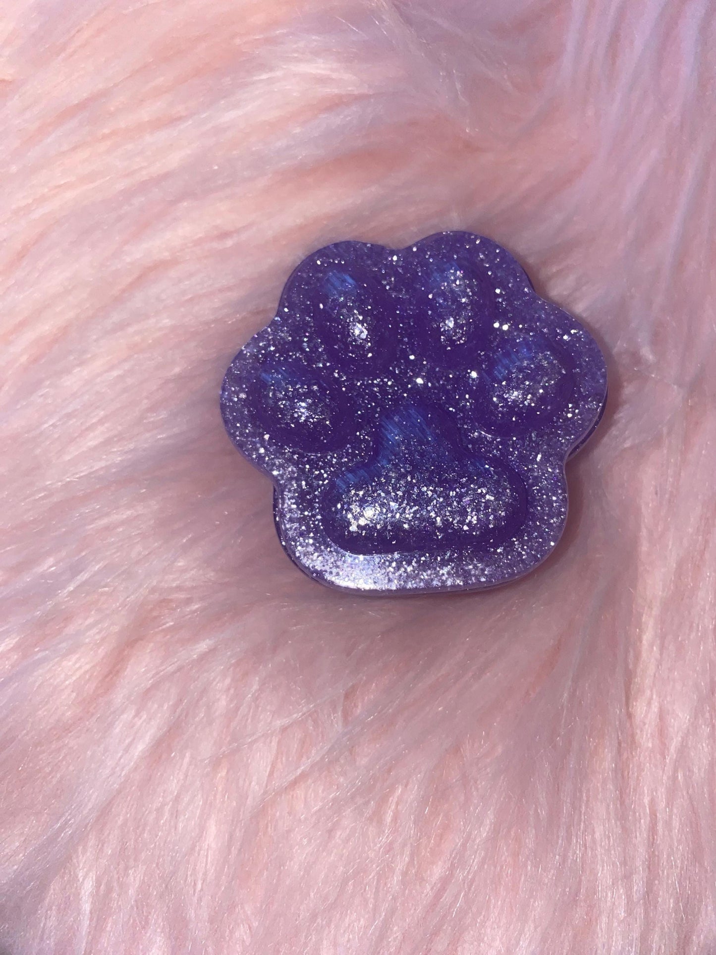 Small Paw Resin Box