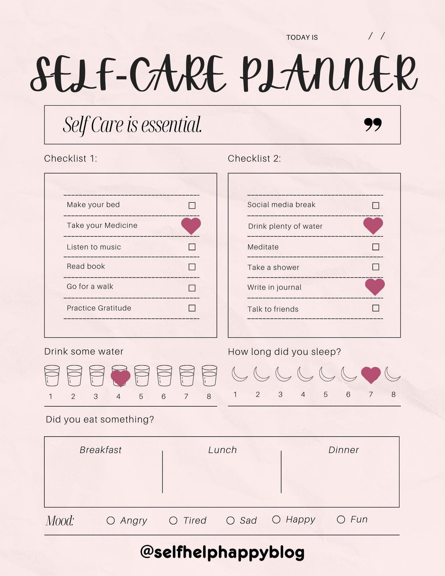 Light Pink Daily Self Care Planner